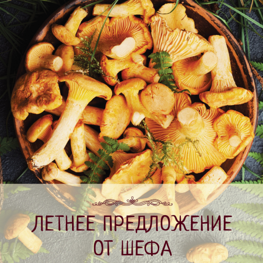 Лето в лисичках